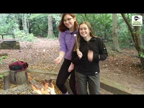 2,000 young people taking the Grassroots Challenge