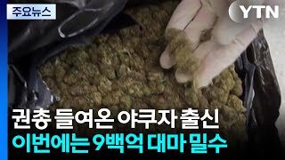 권총 들여온 야쿠자 출신...이번엔 900억대 대마 밀수 / YTN
