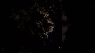 SIOUXSIE &amp; THE BANSHEES - &quot;Drifter&quot;