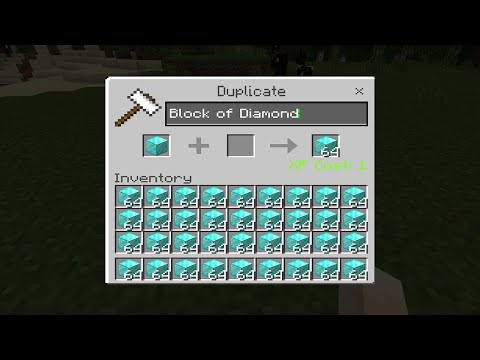 Ultimate Diamond Duplication Glitch!