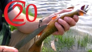 How to Gut/Clean a Fish while in the Wild