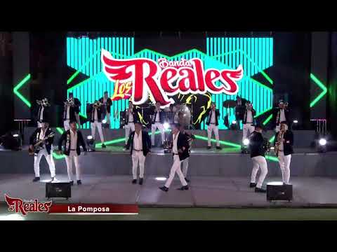 Banda Los Reales - La Pomposa / La Cochinita - CONCIERTO VIRTUAL 3