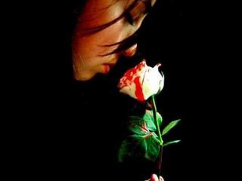 Zinar Sozdar - Evina Dilemin