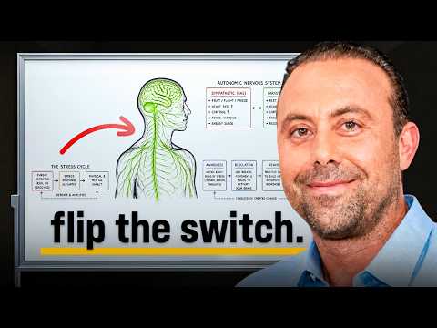 The Nervous System Hack That Stops Stress Before It Starts
