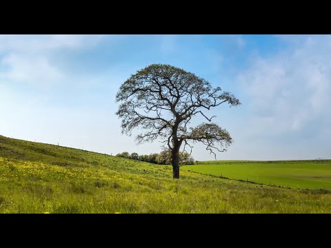 Danny Dimitroff & Yassen Drumev  - JELKA (Speedy_Short_Version)