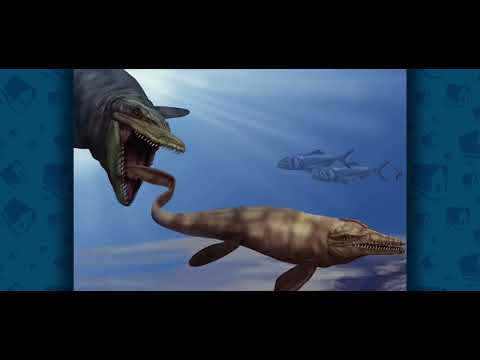 Mosasaurus Mighty ruler of the sea