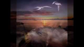 Mick Jagger Angel In My Heart  1993