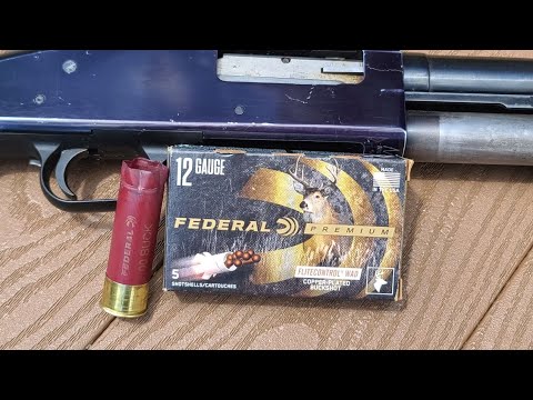 20 Gauge #3 Buck Federal vs. #2 Buck Sellier \u0026 Bellot #czusa #mossberg #ammunition