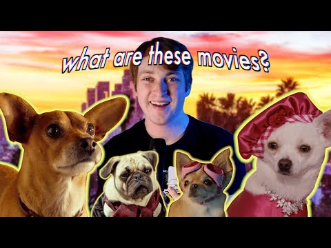 beverly hills chihuahua changed my life.