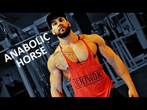 Anabolic Horse - Strength Wars prep #2