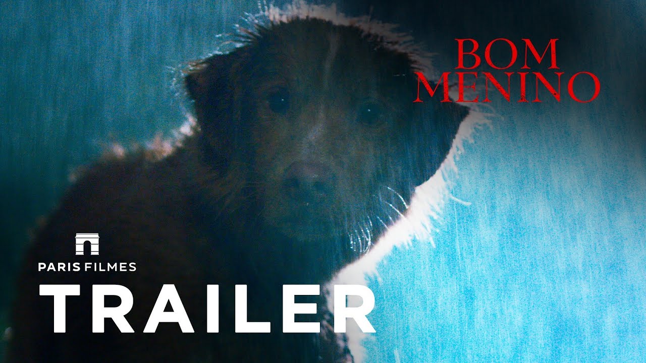 trailer Oficial