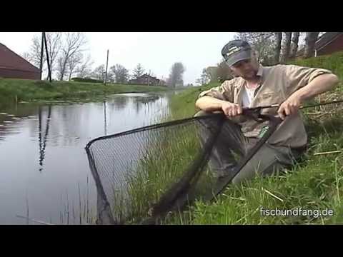 Matze Koch - Small ditches, big carp