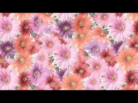 Kafian Bulleh Shah -  Bullah ki jaana mai kaun