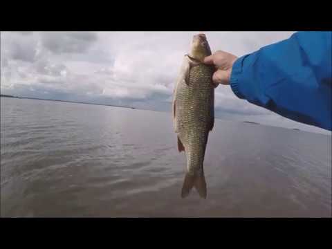 Markus Kalassa - Merikalastus 2018 Säyne ennätys parantuu