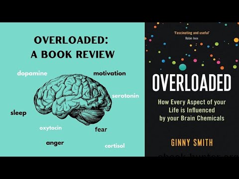 How do brain chemicals affect us? Overloaded book review