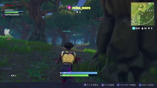 LIVE【FORTNITE】あいゆき姉妹でフォートナイトおおおおお