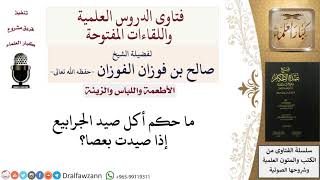 صورة ما حكم الجرابيع إذا صيدت بعصا؟ للشيخ صالح الفوزان