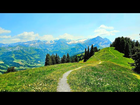 A breathtaking hike! Gstaad-Höhi Wispile- all the way to Gsteig! Switzerland!2023❤️🇨🇭
