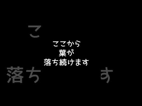 茎のなくなった蘭を再び咲かせるにはどうすればよいでしょうか？私たちのシンプルなソリューション!  庭園