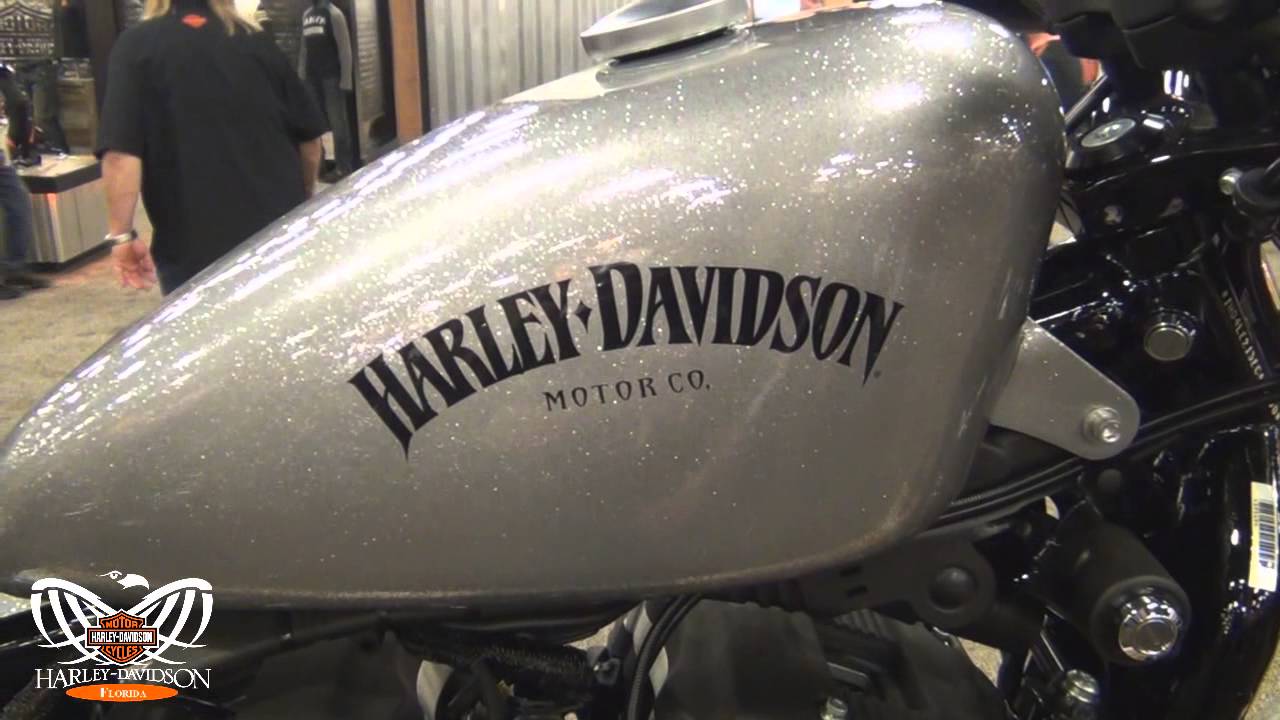 New 2015 Harley Davidson Iron 883 Motorcycle