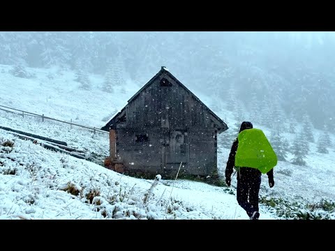 The BLIZZARD Came Out of Nowhere — Night in an ABANDONED Cabin!