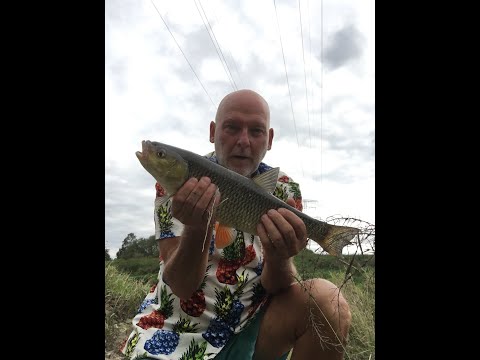 Wędkowanie Bez Gadania cz 54.Lato nad Wisłą z bolonką i spiningiem.Zaskakujące wyniki.Zobaczcie.