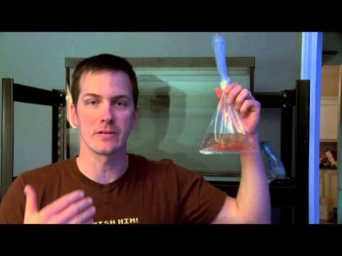 Mr. Saltwater Tank TV Friday AM Quick Tip #114: New Fish? Here's What To Feed It At First