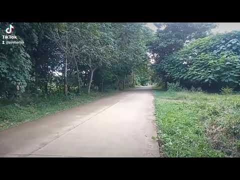 pabilisan,,,wave Vs beat fi