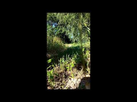 STONOGA feat. Garnek - Tajemnicze Dźwięki ACHTUNG !