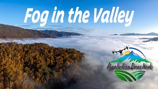 Fog in the Valley
