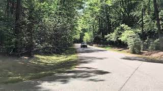 1965 Shelby Mustang GT350 Drive By