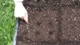 SmartGrowers - How to plant vegetable seeds in a raised bed
