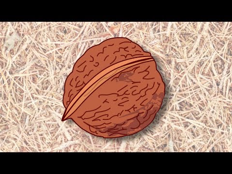 Spievanky - Moja mamka niečo má