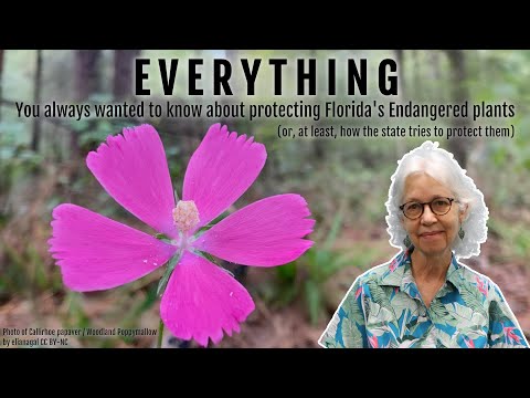 EVERYTHING You always wanted to know about protecting Florida's Endangered plants