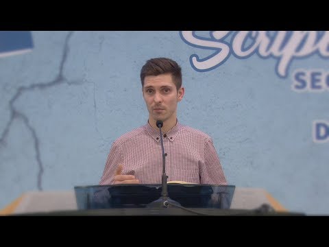 Lucian Saviciuc - Efectele aprecierii