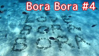 Bora Bora #4 Under The Sea スノーケリング