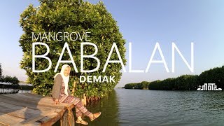 preview picture of video 'Hutan Mangrove Babalan Wedung Demak'