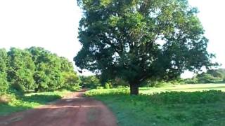 preview picture of video 'Visite de mon village - Afrique'