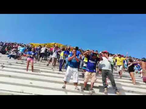 "LA BANDA CETACEA ðŸ’›ðŸ’™" Barra: La Banda Cetácea y Perro Muerto • Club: Delfín SC