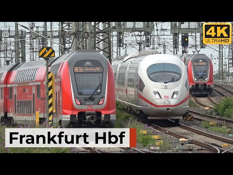 Frankfurt(Main)Hbf 09.08.2025 - Internationaler Fernverkehr & Regionalverkehr am Morgen