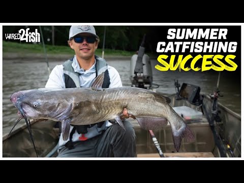 Catch Summer Catfish with These Expert Tips