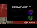 Cell Lineage Diversification Cell Competition During Heart Development Repair Miguel Torres PhD