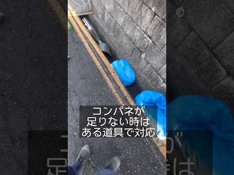 ウツギを生垣、花壇、鉢に剪定するにはどうすればよいですか？どの程度まで削減する必要がありますか?またその理由は何ですか?  庭園