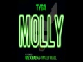 Tyga ft Wiz Khalifa, Mally Mall - Molly ...
