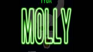 Tyga ft Wiz Khalifa, Mally Mall - Molly-Instrumental