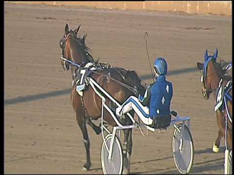 Trotto 17/03/2017 - 4ª corsa