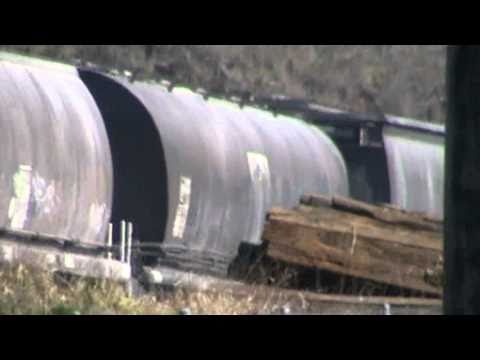 pacific national 81 class