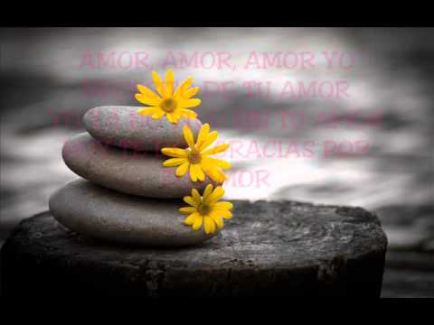 Amor Amor por Magally