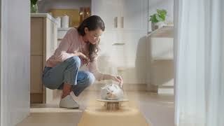 Purina Fancy Feast A Ray of Light in Every Bite: Cat Food that Shines