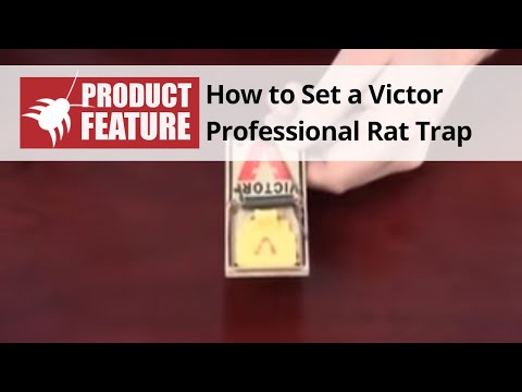  Victor Mouse Trap M325 Review Video 